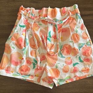 Anthropologie Peach and Green High Waist Shorts